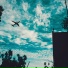 BVLA