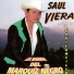 Saul Viera El Gavilancillo