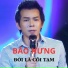 Bảo Hưng