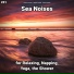 Ocean Currents, Nature Sounds, Ocean Sounds