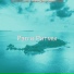 Рэгги Ритмы