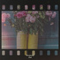 Faustine Hent