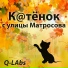 Q-Labs
