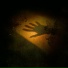 AlPhoenix