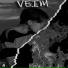 VEIM