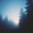 sxdløve