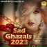 Arshad Kamli