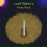 Leaf Watoru