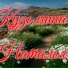Наталья Кузьмина