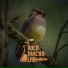 Wildtracks Lab