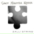 Zalli String