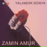 Zamin Amur