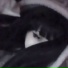 TWINSRXGE, Noir Prince