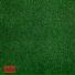 HARIZMA