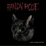 Randy Rose