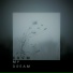 XRVM