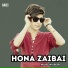 Hussain Aseer