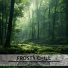 Frosty Chill