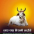 Narana Ram Balasar