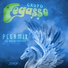 Grupo Pegasso Del Pollo Estevan