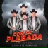 Luceros Jr de Badiraguato feat. Jose Barraza