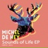 Michel De Hey