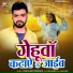 Pancham Pardeshi