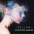 Fellow