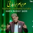 Hamza Maroof Qadri