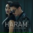 Dayang Nurfaizah, Hael Husaini