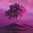 LUCID Muzik