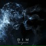 DIM