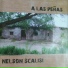 Nelson Scalisi
