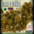 J Modesto feat. Mxcc