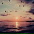 ailuful