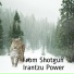 Irantzu Power