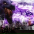 PurpleBlack
