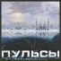 ПУЛЬСЫ