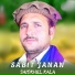 Sabit janan