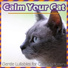 Relax My Cat, Cat Music Dreams