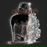 Sas-Leon
