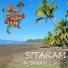 SHAKTI C music