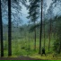 KOLOTILO
