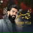Hamidreza Babaei