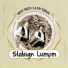 Stabign Lumpm