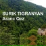Surik Tigranyan