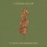 Гулнур Оразымбетова