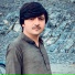 Gull Mashoom