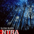VIVASHIVANTRA