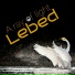 Lebed